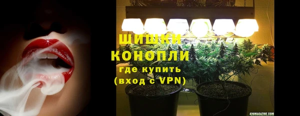 ешки Белокуриха
