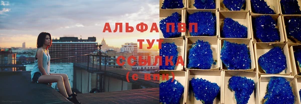 ешки Белокуриха