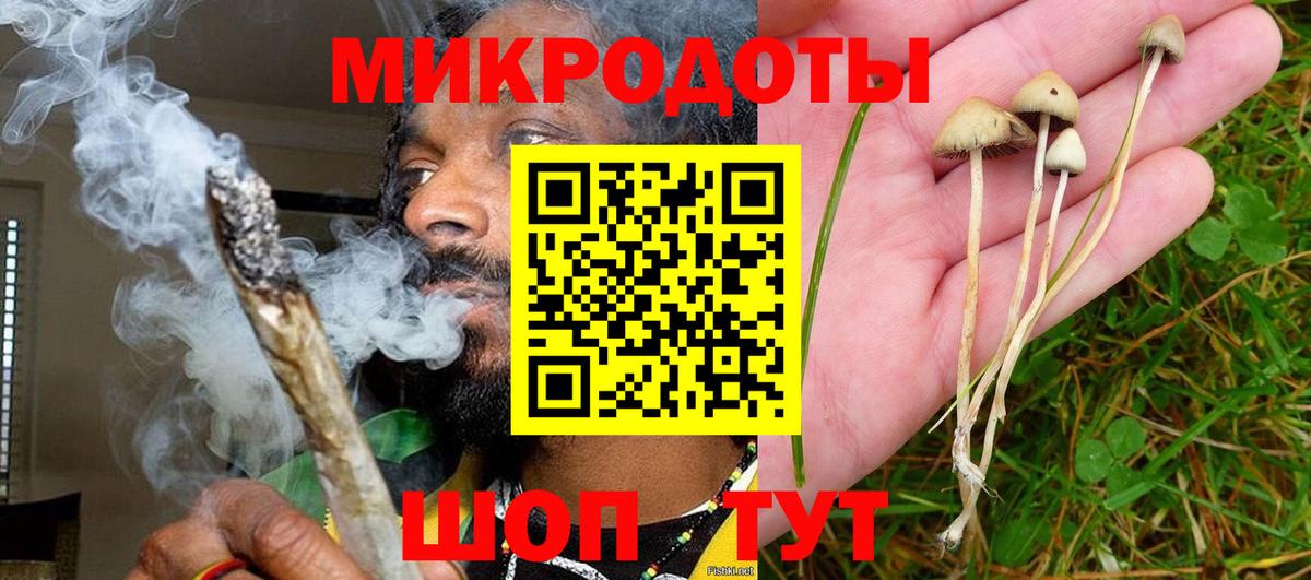 наркотики  Вход с VPN  Калуга  Галлюциногенные грибы мицелий 